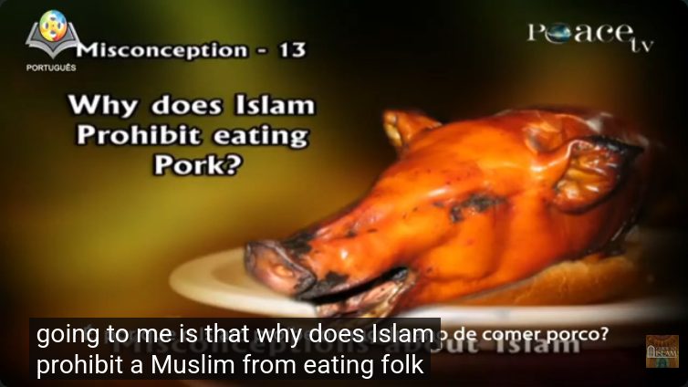 Porque o Islam proíbe a carne de porco?